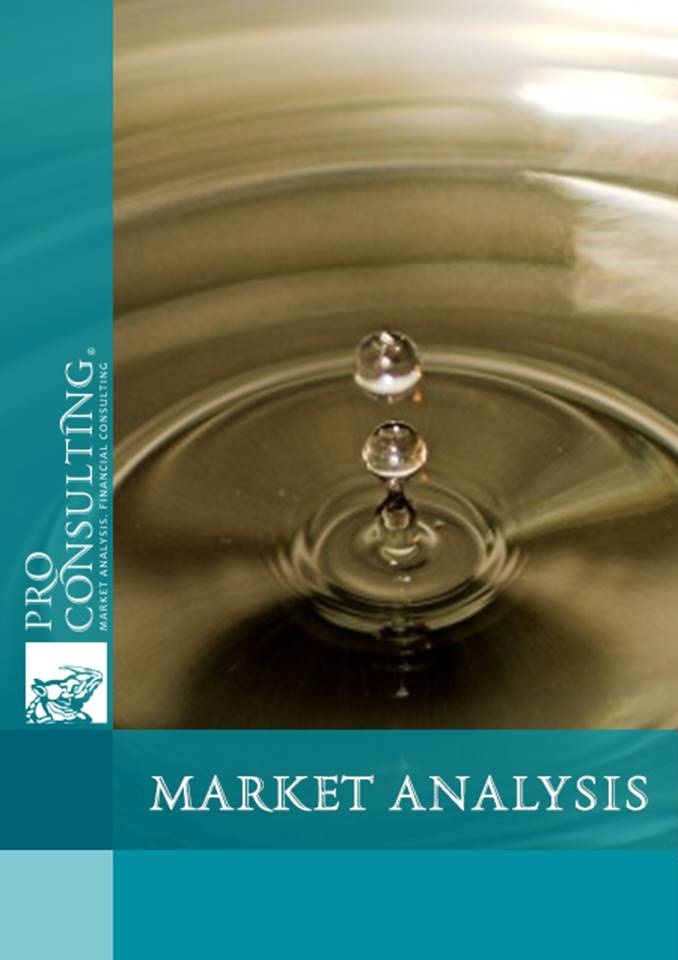 Market research report on the market of light oil products and oils. 2016 